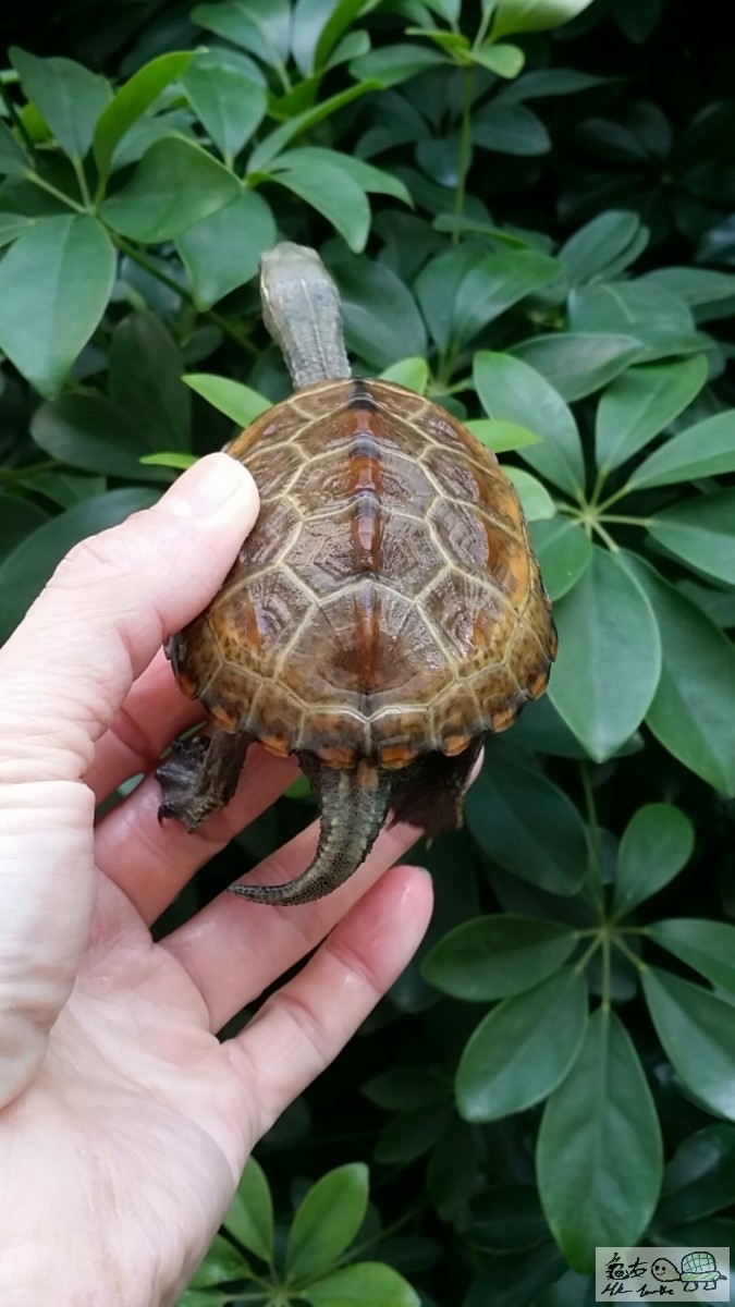 2017-02-12 15.05.33.jpg