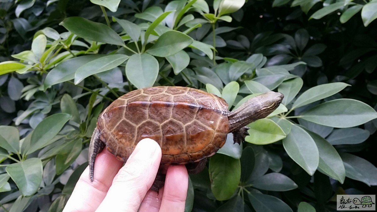 2017-02-12 15.04.51.jpg