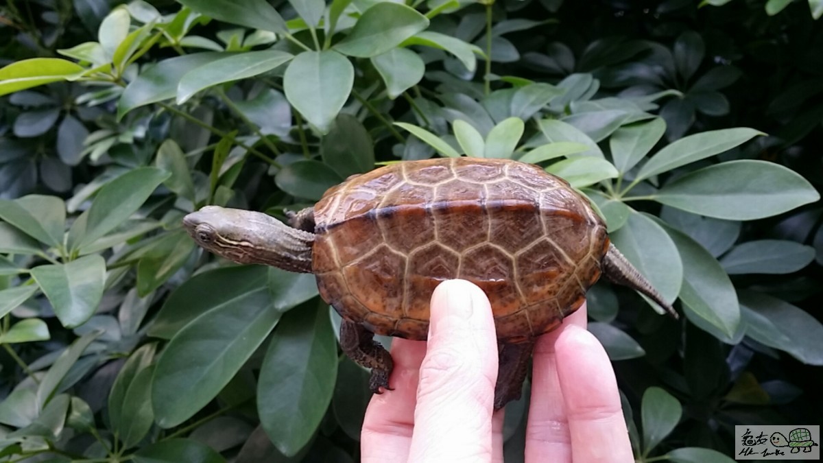 2017-02-12 15.04.22.jpg