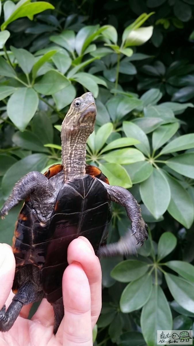 2017-02-12 15.03.02.jpg