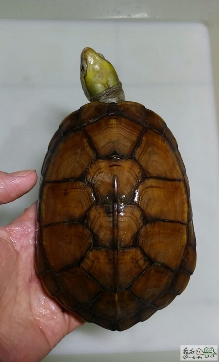 2017-03-10 17.18.07.jpg