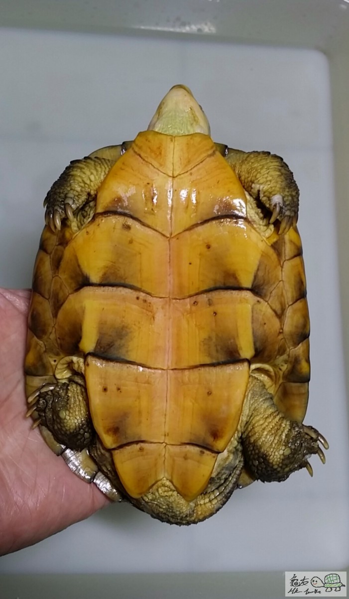 2017-03-10 17.22.12.jpg