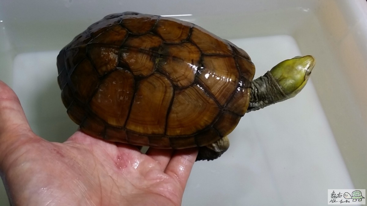 2017-03-10 17.21.23.jpg