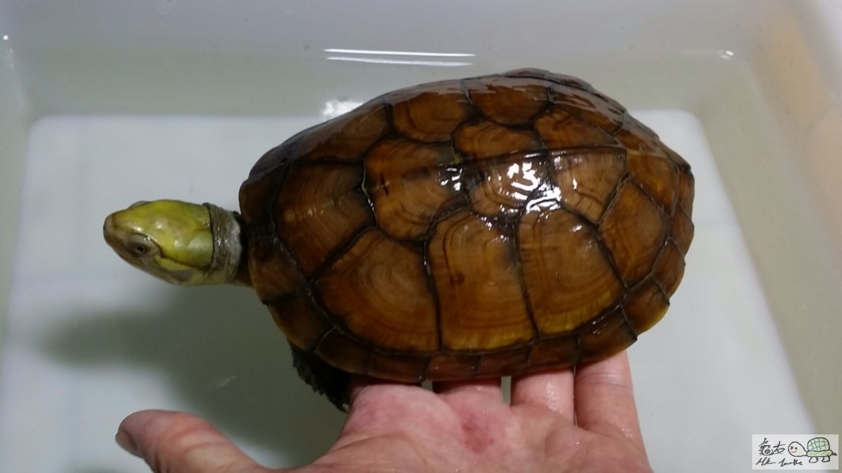 2017-03-10 17.21.00.jpg