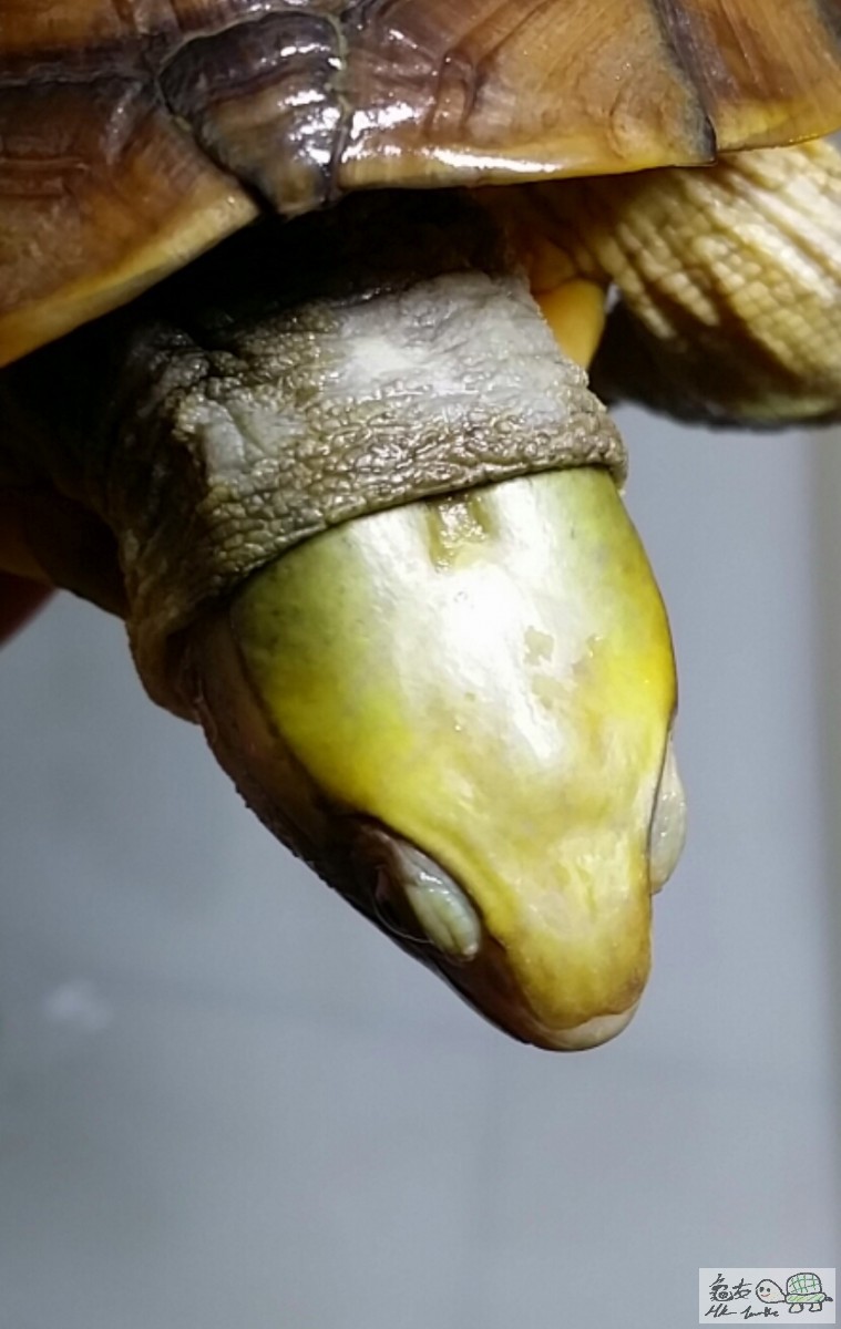 2017-03-10 17.24.25.jpg