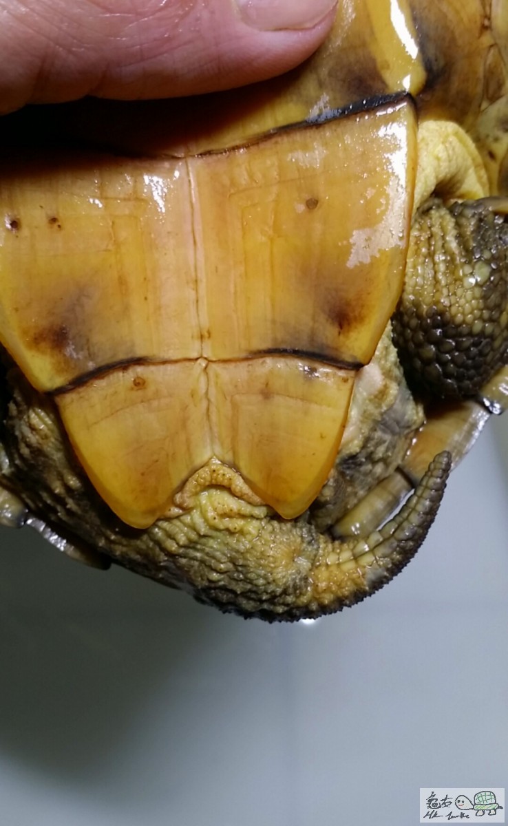 2017-03-10 17.24.56.jpg