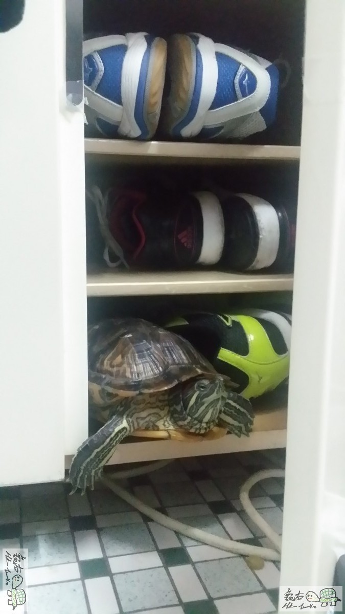 20170320_125426 (1)a.jpg