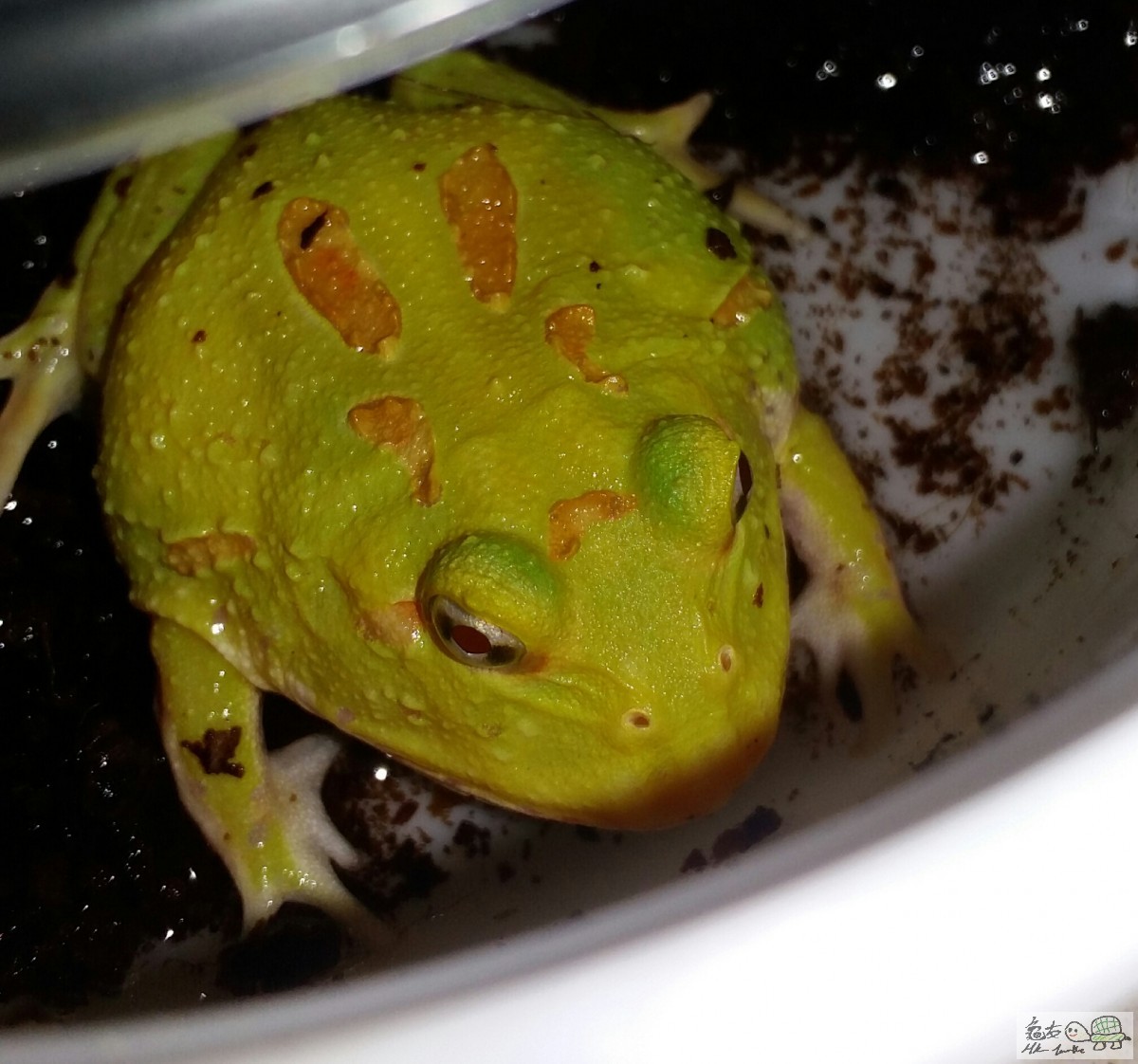 2017-04-04 16.10.46.jpg