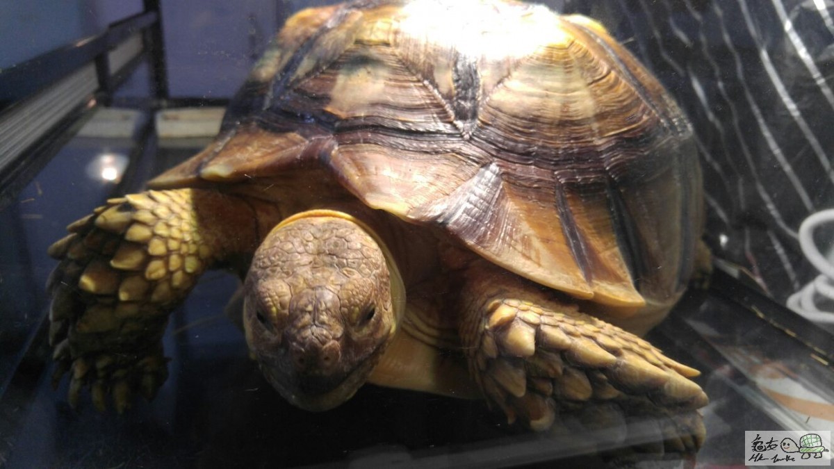 WhatsApp Image 2017-04-04 at 7.41.09 PM.jpeg