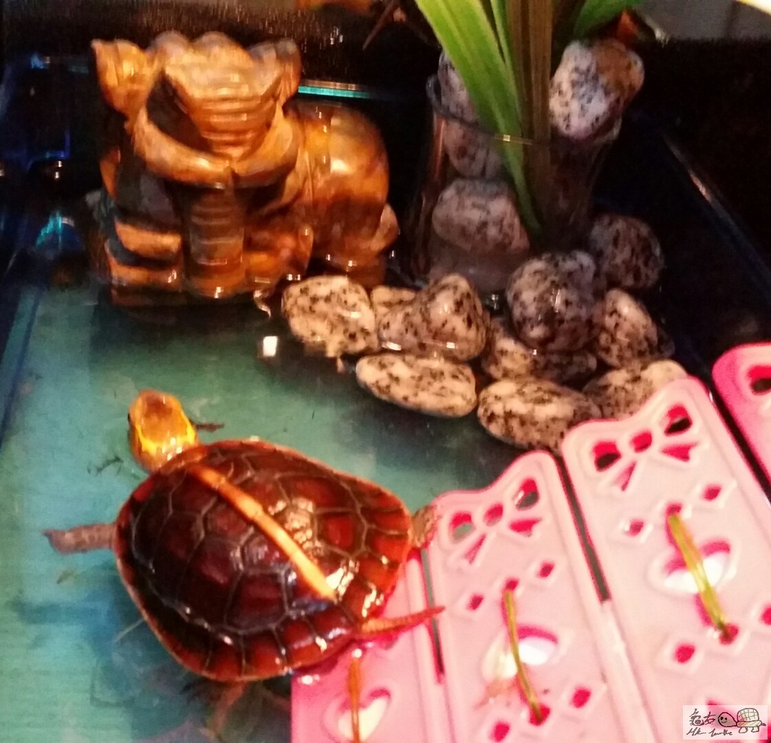 第一個落水