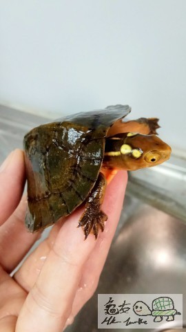 IMG3 [最大闊度 640 最大高度 480].jpg