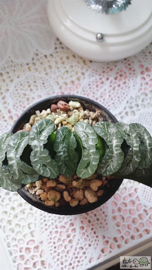 MTXX_20170511165722 (Large).jpg