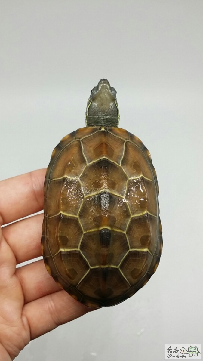 2017-05-05 17.15.52.jpg