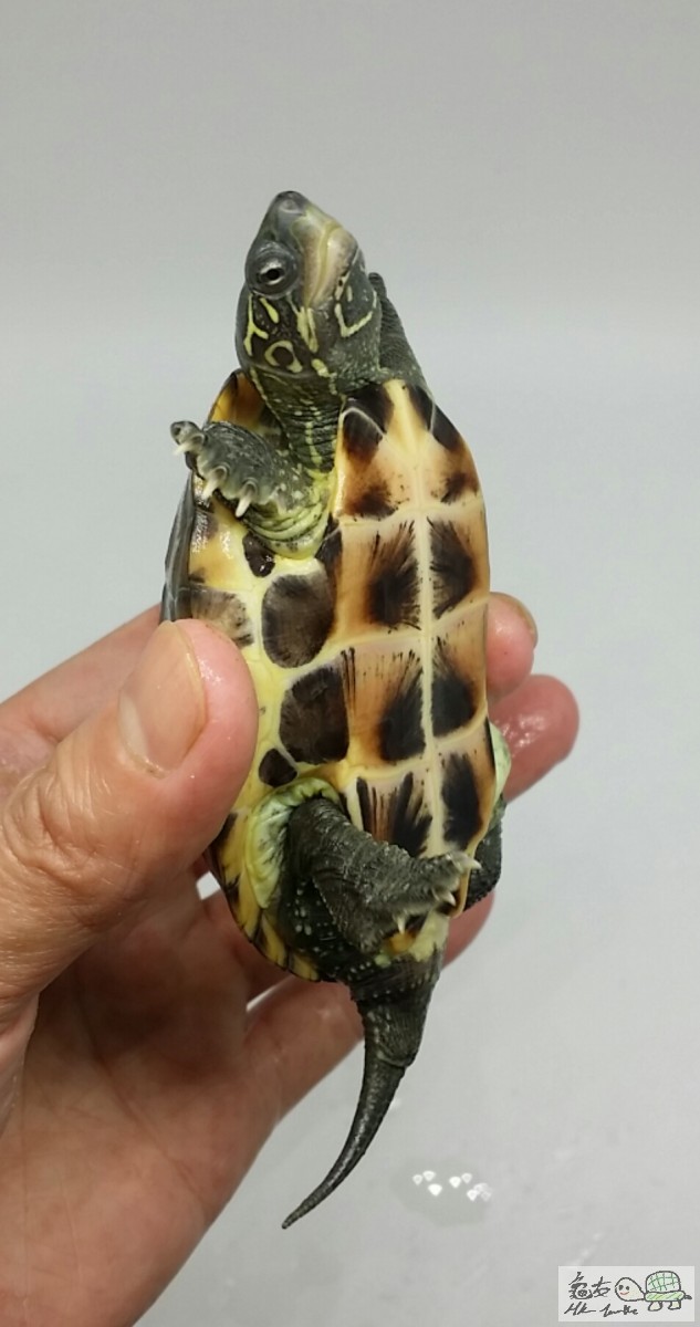 2017-05-05 17.22.59.jpg