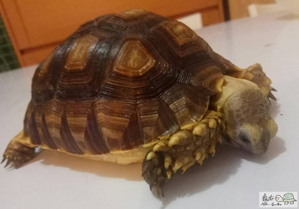 18486440_782897968553396_6820357818443778509_n (1).jpg