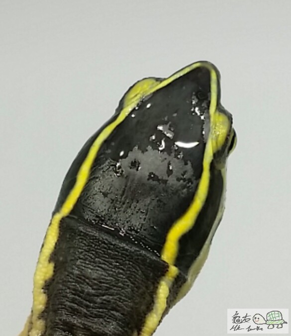 2017-05-16 15.58.32.jpg