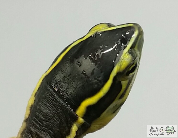 2017-05-16 15.59.15.jpg