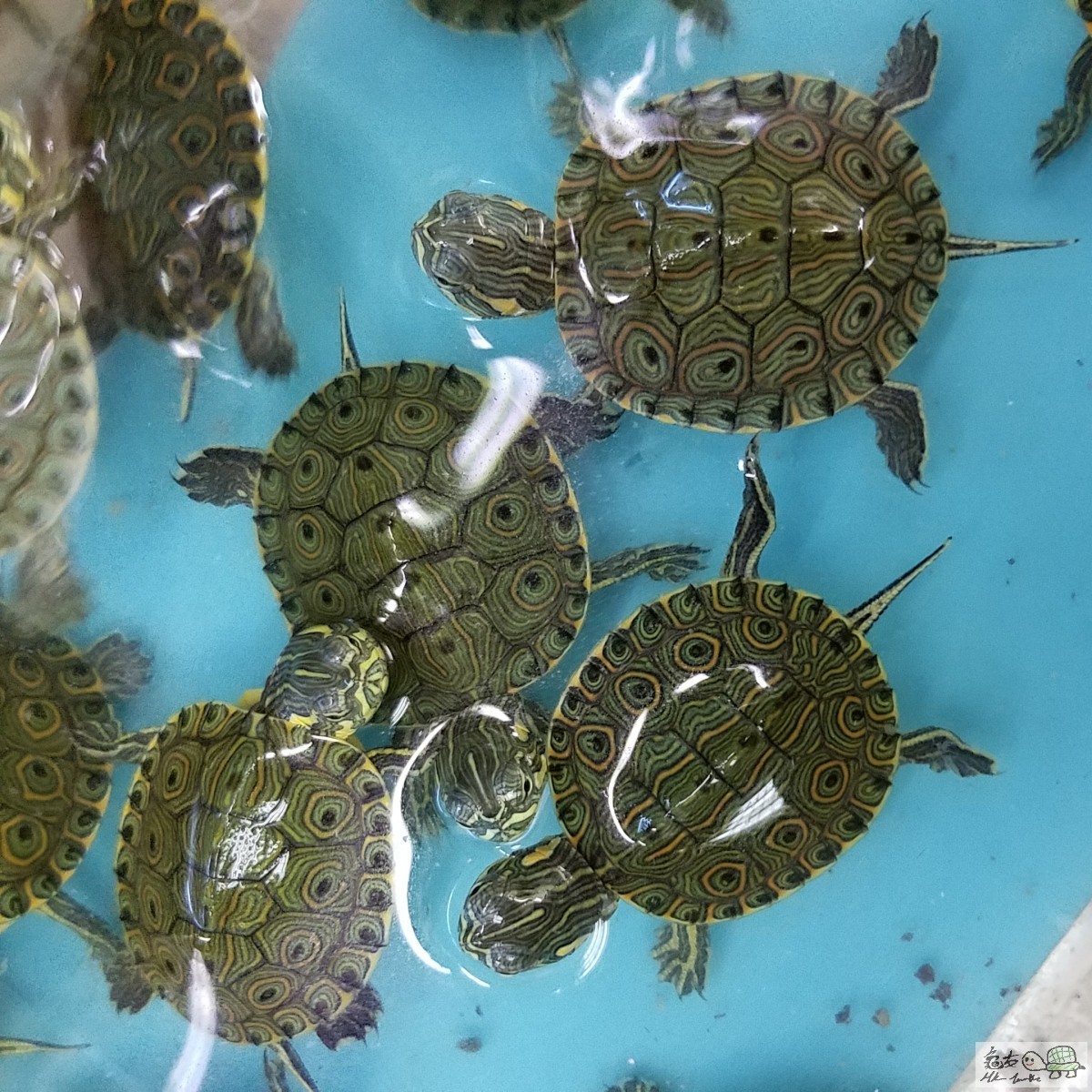 20170614_224255.jpg