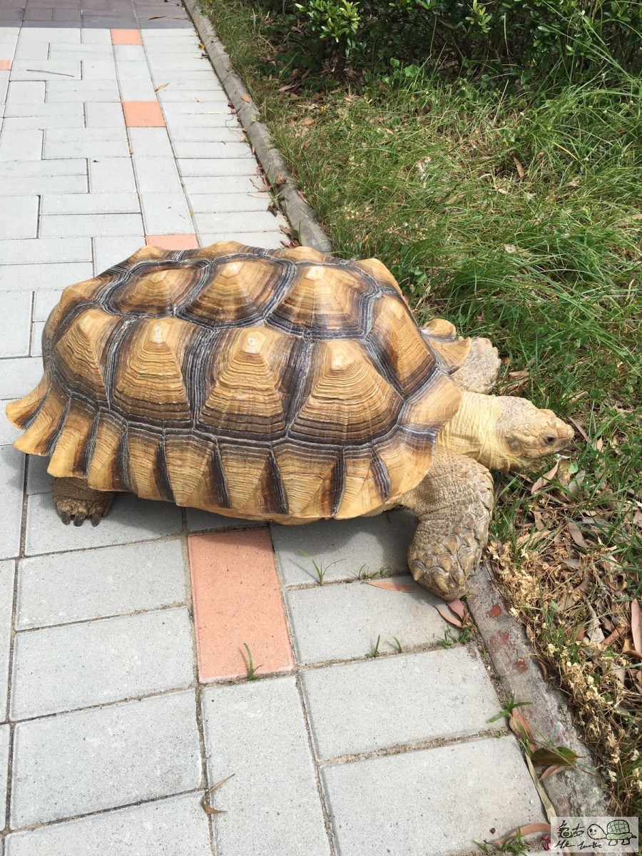 WhatsApp Image 2017-06-04 at 2.25.19 PM.jpeg