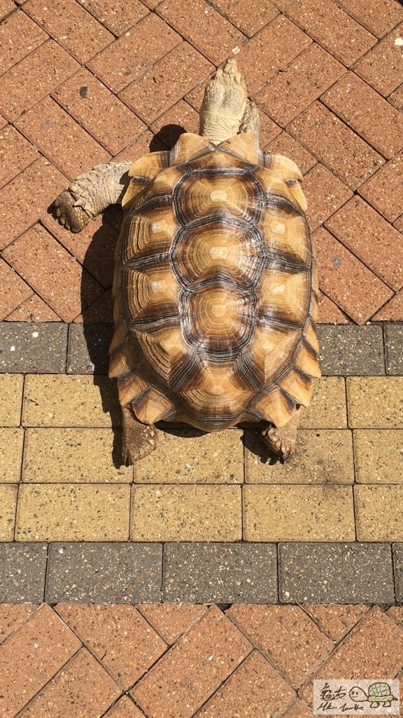 WhatsApp Image 2017-05-11 at 10.21.33 PM.jpeg