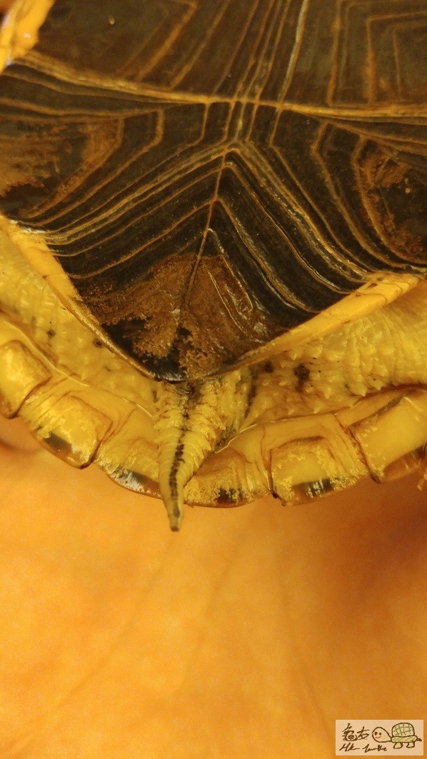 20170629_230337.jpg