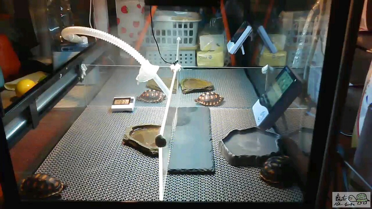 2017-07-05 11.47.54.139.jpg