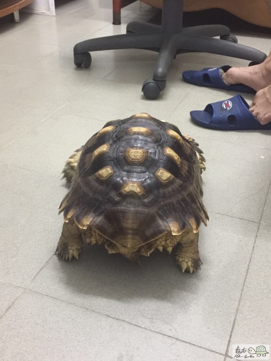 WeChat 圖片_20170721115304.jpg