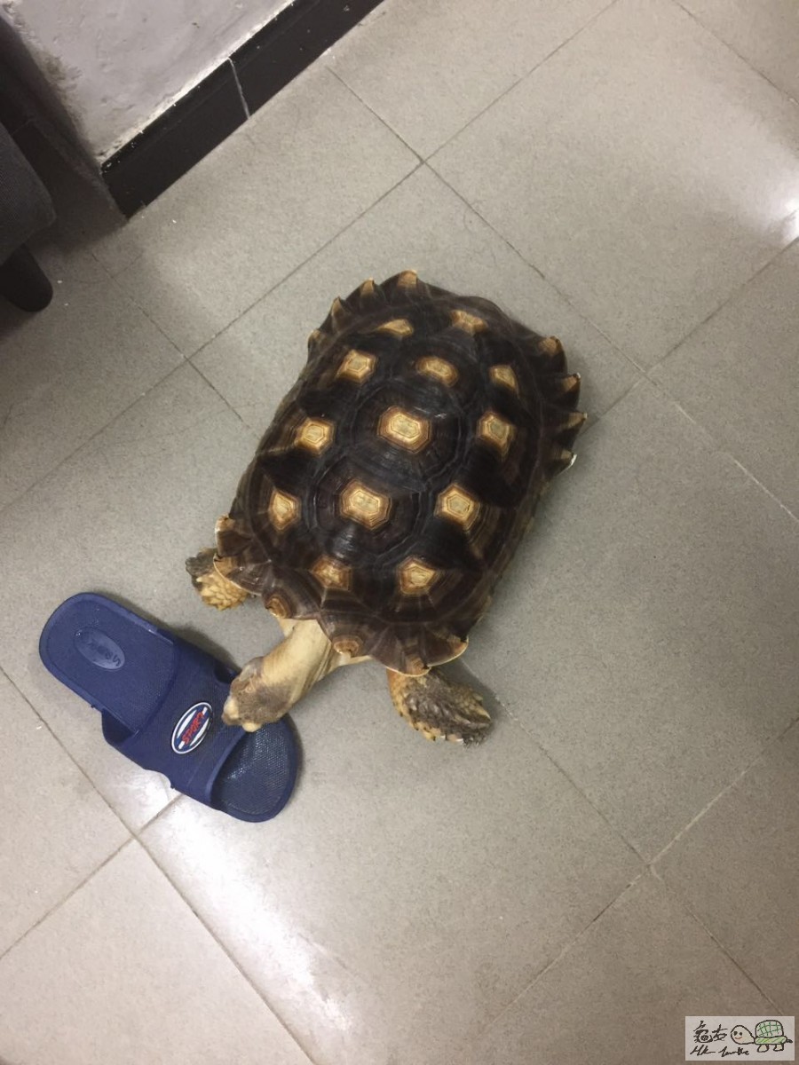 WeChat 圖片_20170721115241.jpg