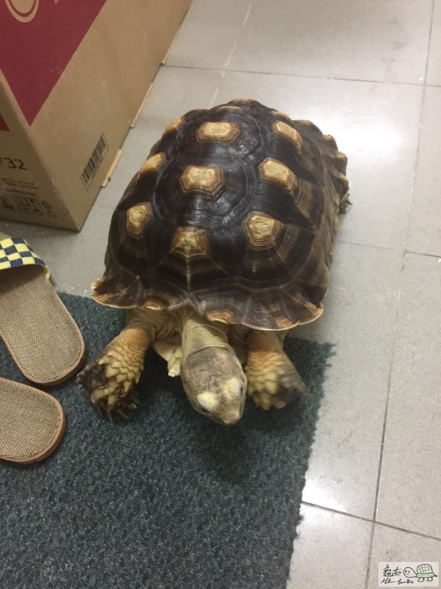 WeChat 圖片_20170721115257.jpg