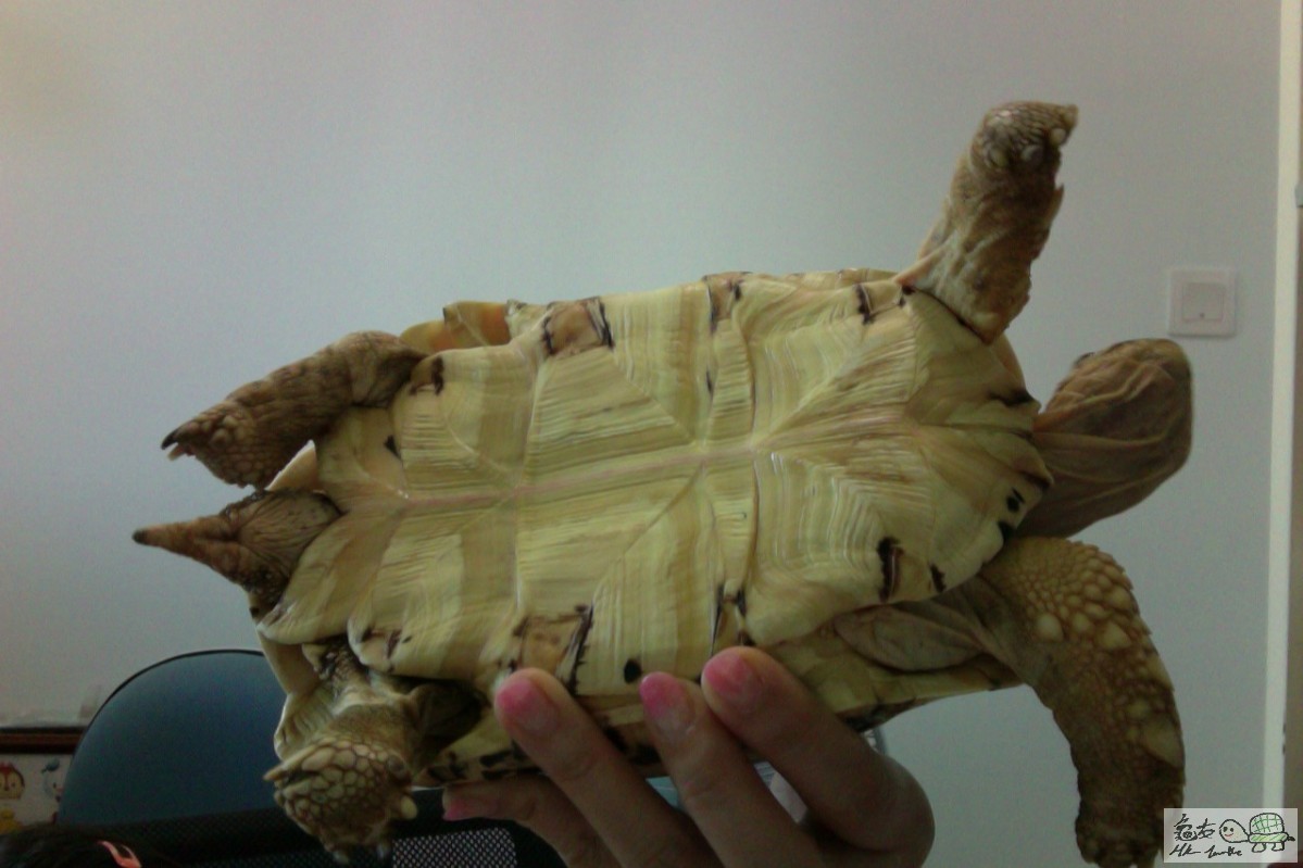 照片 19-8-17 下午3.16 #2.jpg