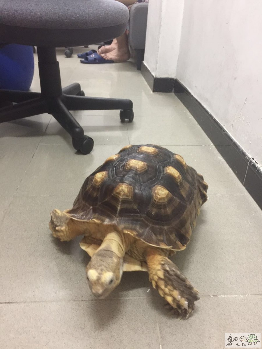 WeChat 圖片_20170721115237.jpg