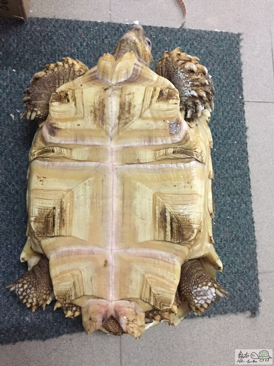 WeChat 圖片_20170810151733.jpg