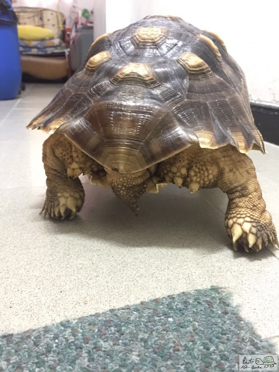 WeChat 圖片_20170814125216.jpg