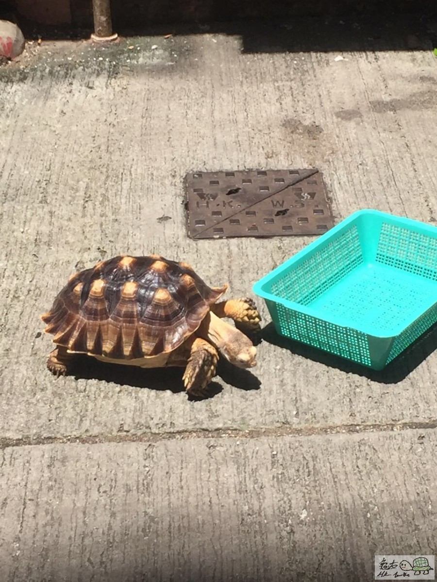 WeChat 圖片_20170814125238.jpg