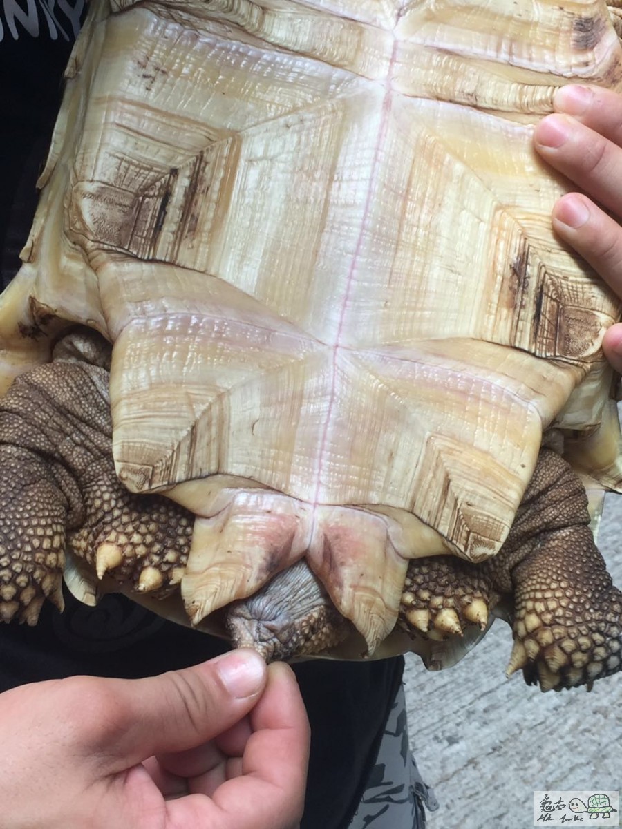 WeChat 圖片_20170814125252.jpg