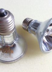 Screen Shot 2017-11-12 at 11.58.48 pm.png