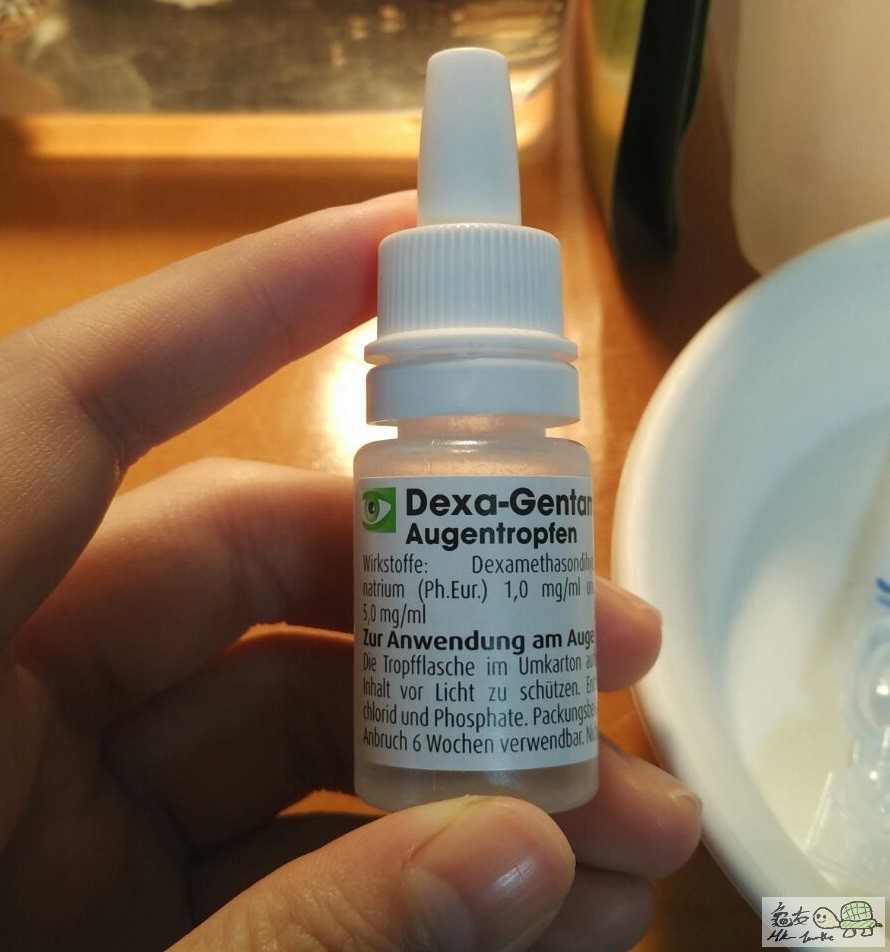 WhatsApp Image 2017-12-13 at 12.08.42.jpeg