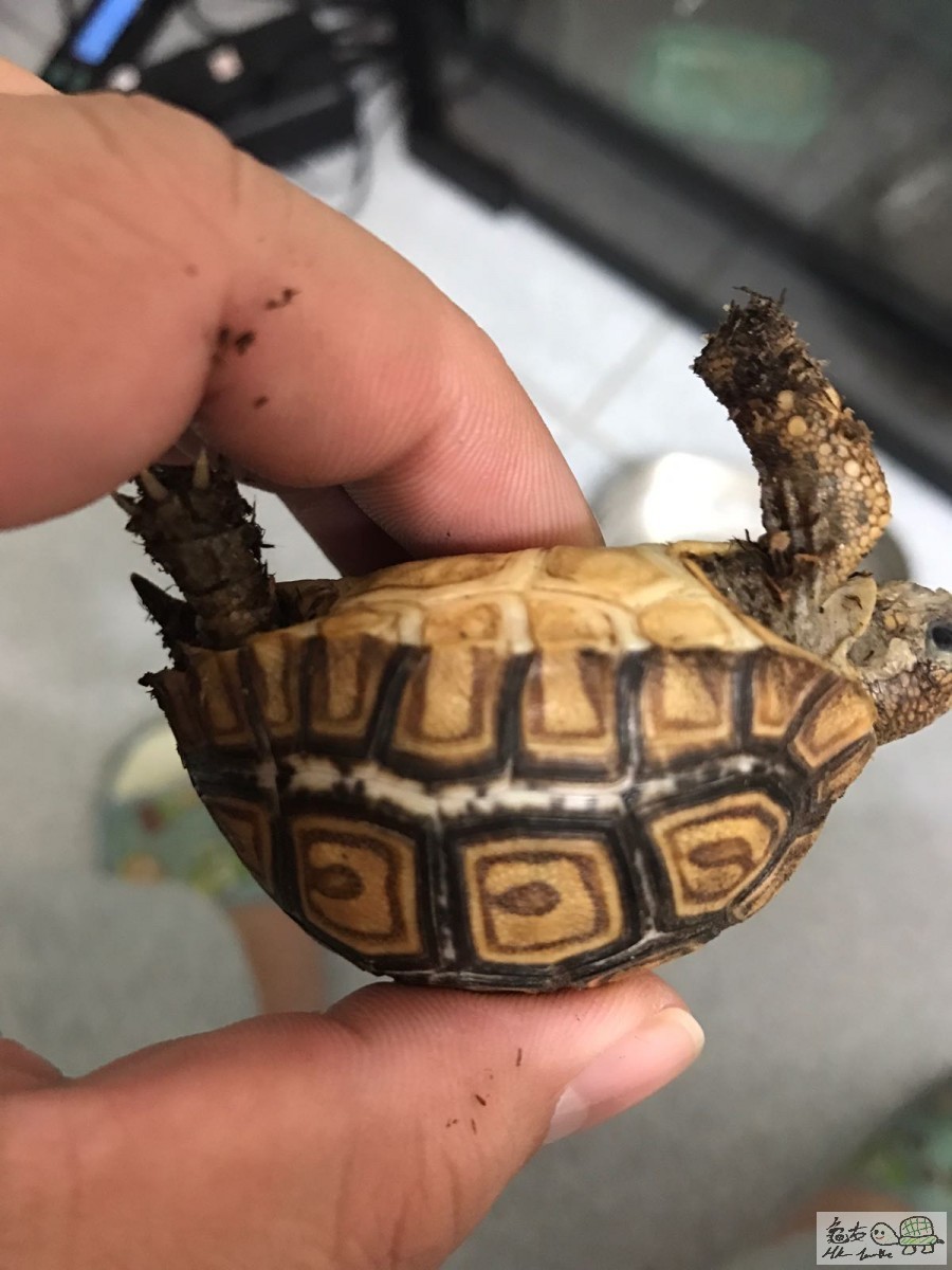 WhatsApp Image 2018-01-24 at 18.21.50 (1).jpeg