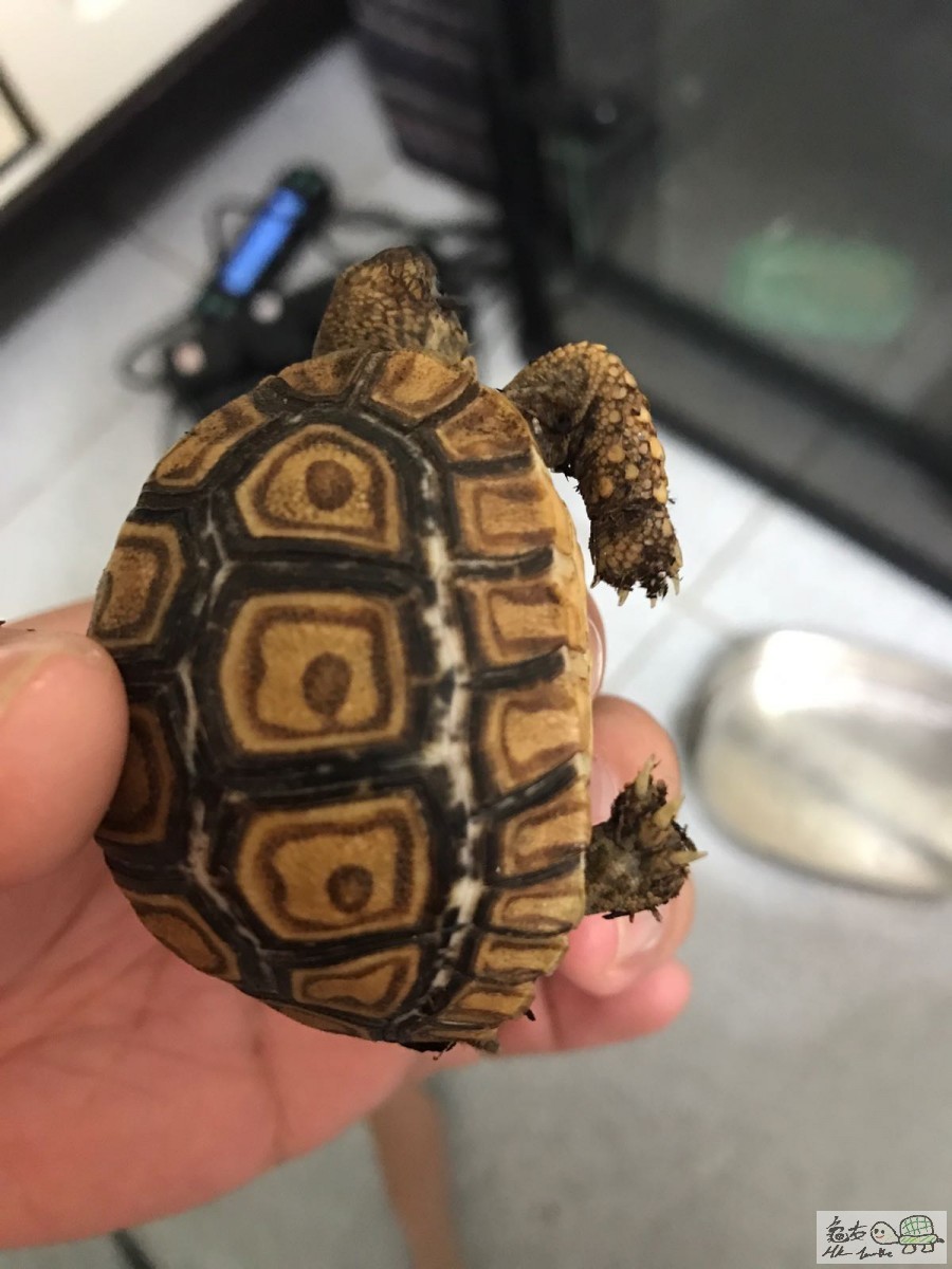 WhatsApp Image 2018-01-24 at 18.21.50.jpeg