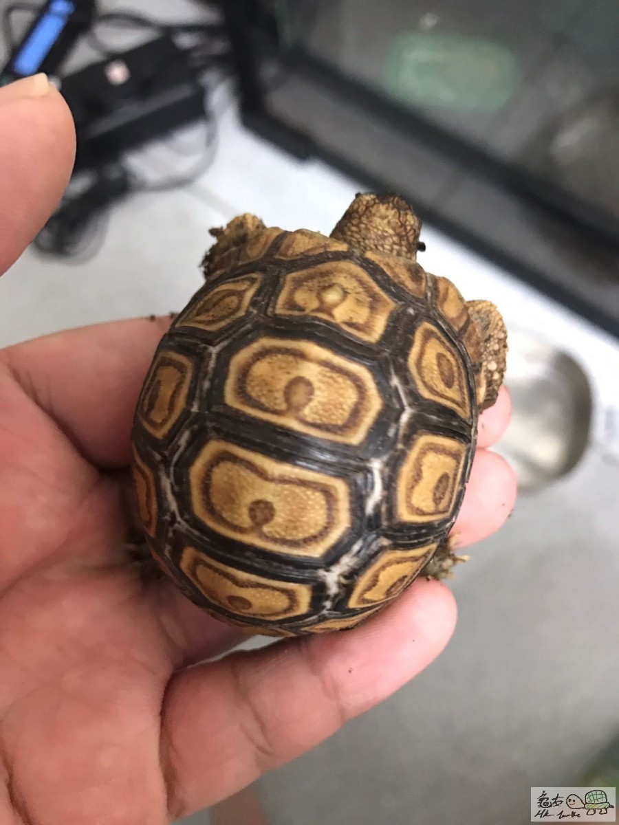 WhatsApp Image 2018-01-24 at 18.21.51.jpeg