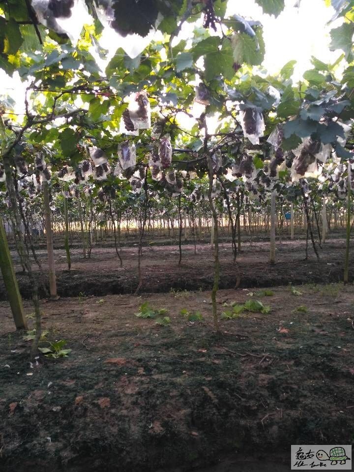 WhatsApp Image 2018-02-09 at 09.52.38 (1).jpeg