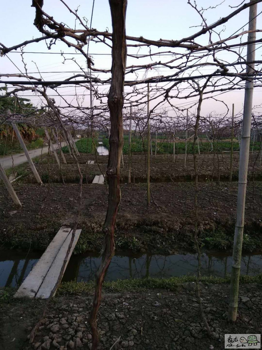 WhatsApp Image 2018-02-09 at 09.52.38.jpeg