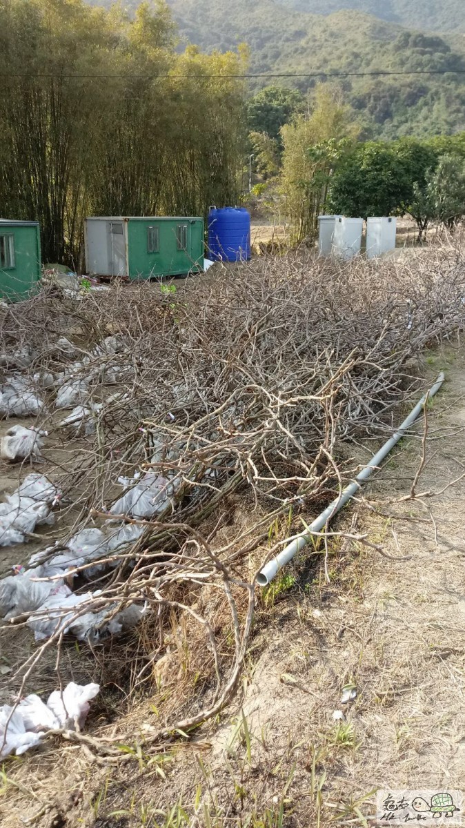 WhatsApp Image 2018-02-09 at 09.52.35.jpeg