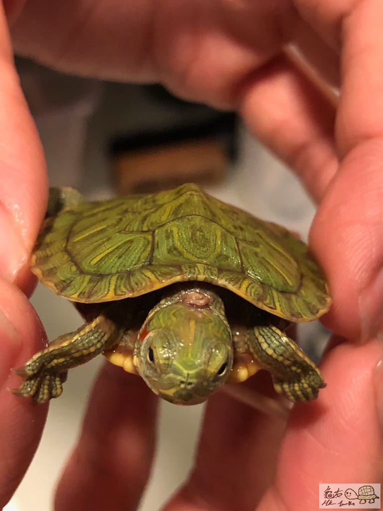 WhatsApp Image 2018-03-19 at 11.15.53 PM.jpeg