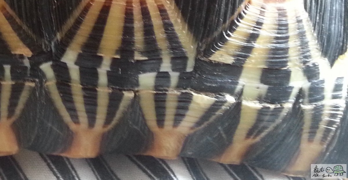 20170502_122429 (2).jpg