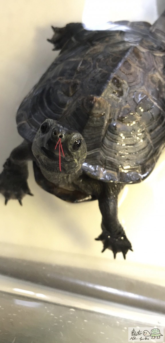 今日又大粒左了:(  我有用JWTD