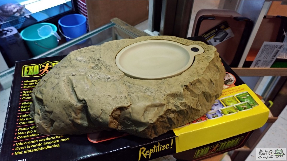 f1318a4b-4f2f-4254-8f5a-3f68ceb110e4.jpg