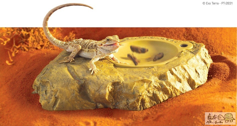 PT2831_Vivicator_Animal.jpg