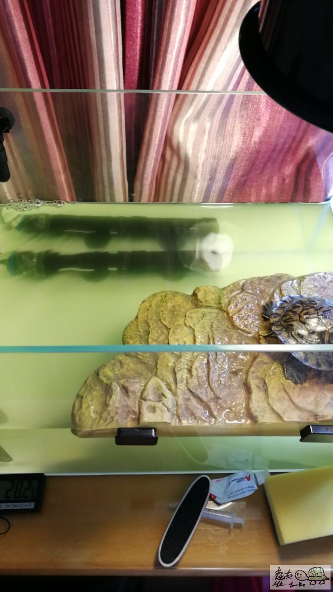 WhatsApp Image 2018-06-17 at 12.03.51.jpeg