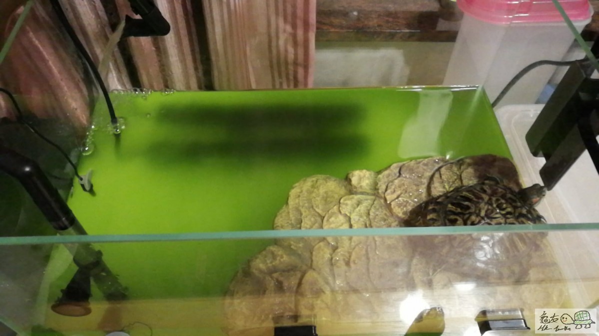 WhatsApp Image 2018-06-29 at 23.30.28.jpeg